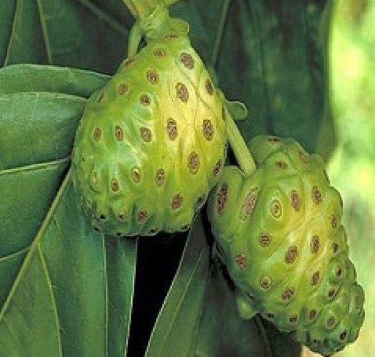 Ayurvedic
